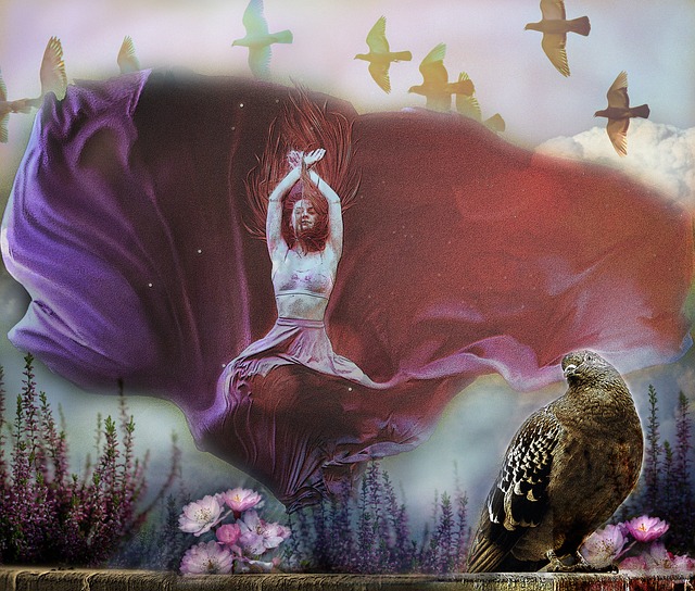 展示了一场 展示了一场