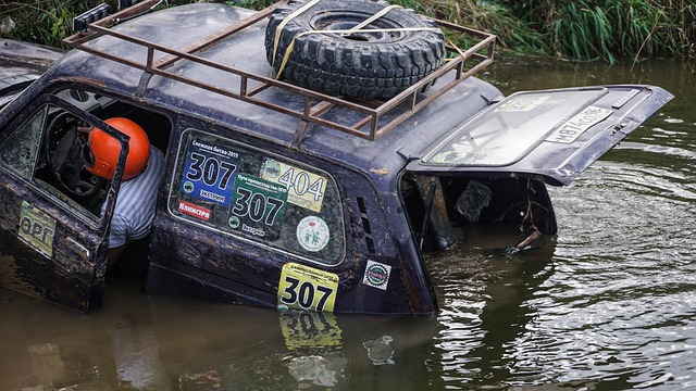 力四射的新 力四射的新