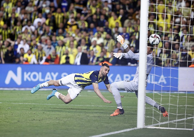 可谓星光熠 可谓星光熠